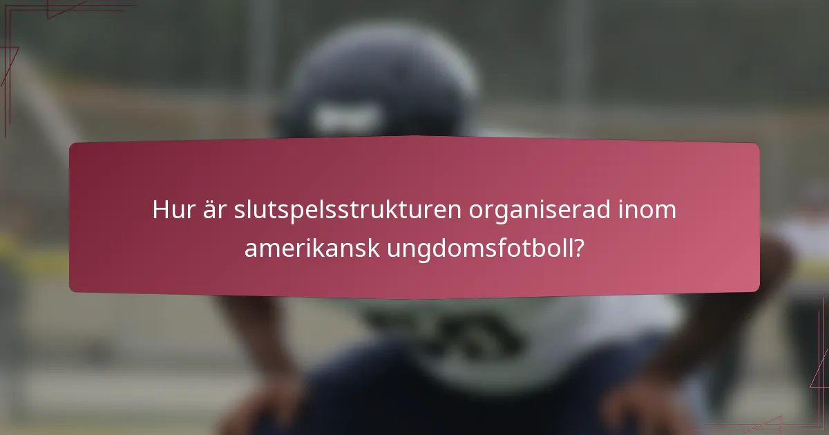 Hur är slutspelsstrukturen organiserad inom amerikansk ungdomsfotboll?
