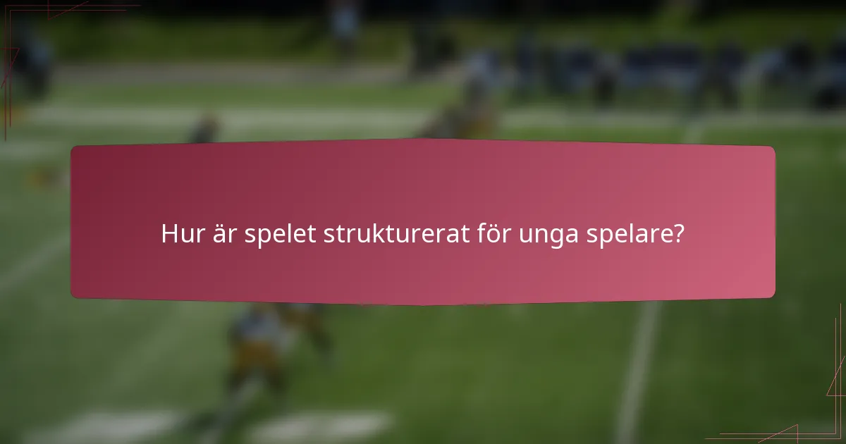 Hur är spelet strukturerat för unga spelare?