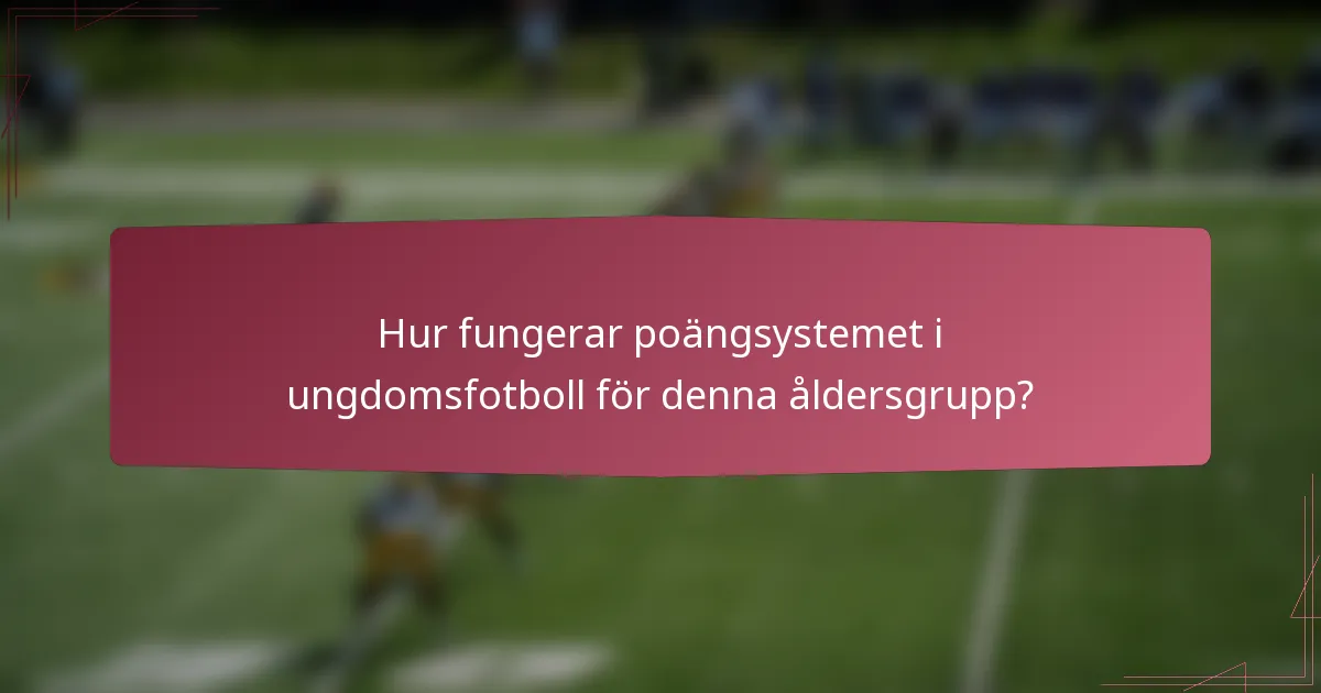 Hur fungerar poängsystemet i ungdomsfotboll för denna åldersgrupp?