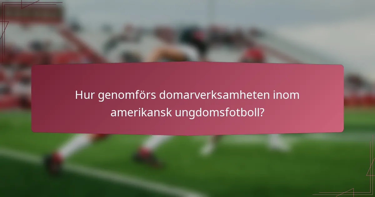 Hur genomförs domarverksamheten inom amerikansk ungdomsfotboll?