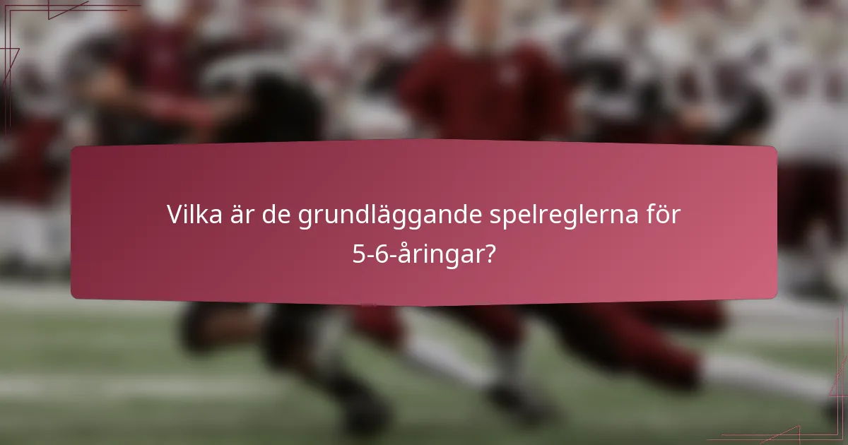 Vilka är de grundläggande spelreglerna för 5-6-åringar?